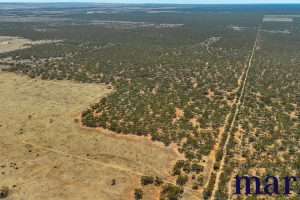 Lot 10 W.Falkenbergs Road, SEDAN, SA 5353 AUS
