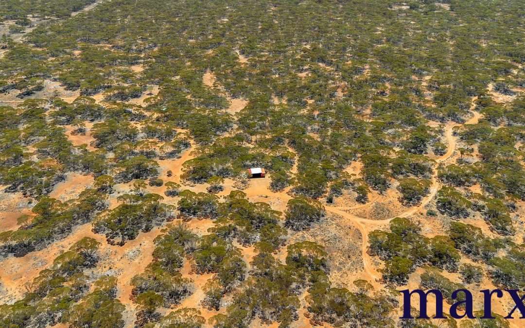 Lot 10 W.Falkenbergs Road, SEDAN, SA 5353 AUS
