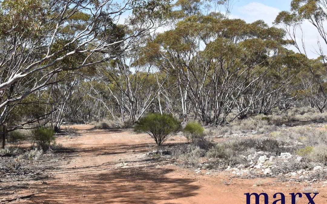 Lot 10 W.Falkenbergs Road, SEDAN, SA 5353 AUS