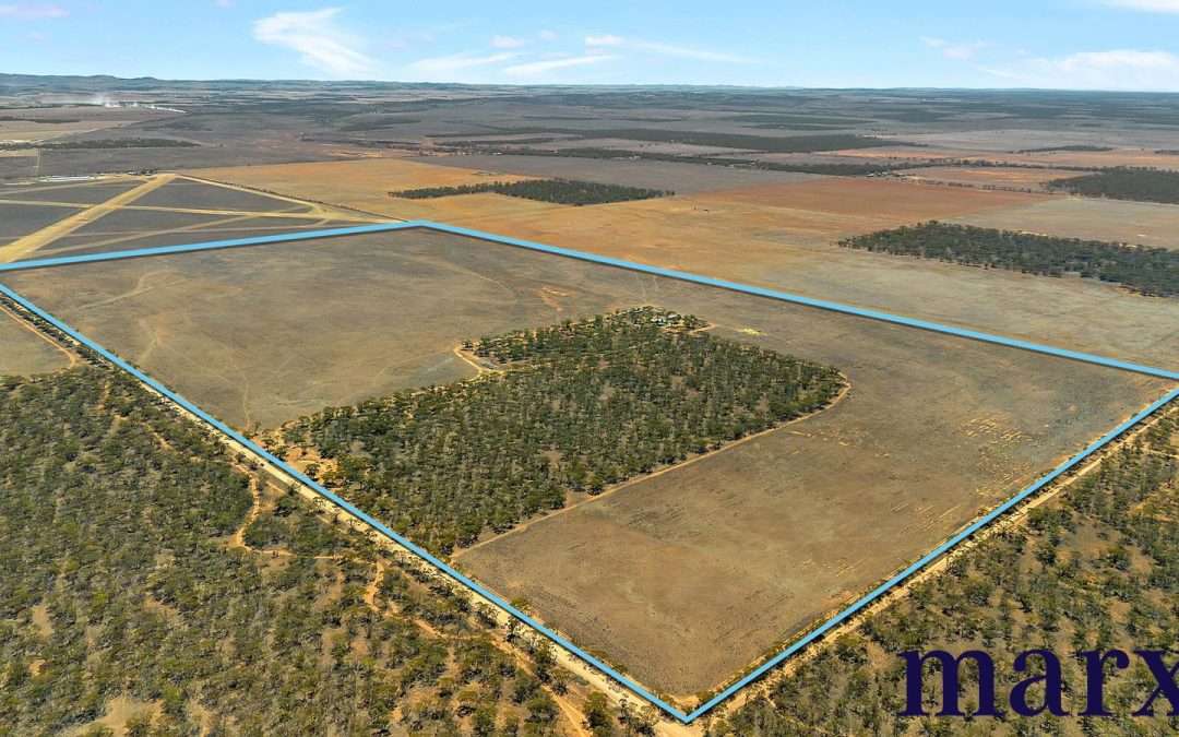Lot 251 Liebigs Road, STEINFELD, SA 5356 AUS