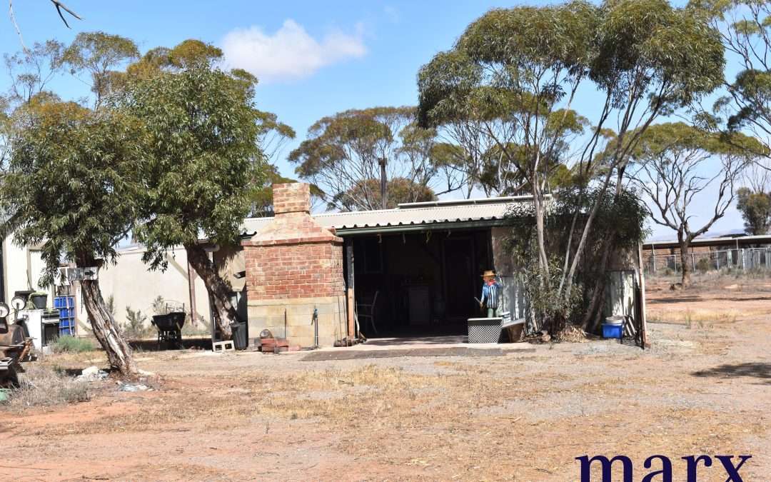 Lot 251 Liebigs Road, STEINFELD, SA 5356 AUS