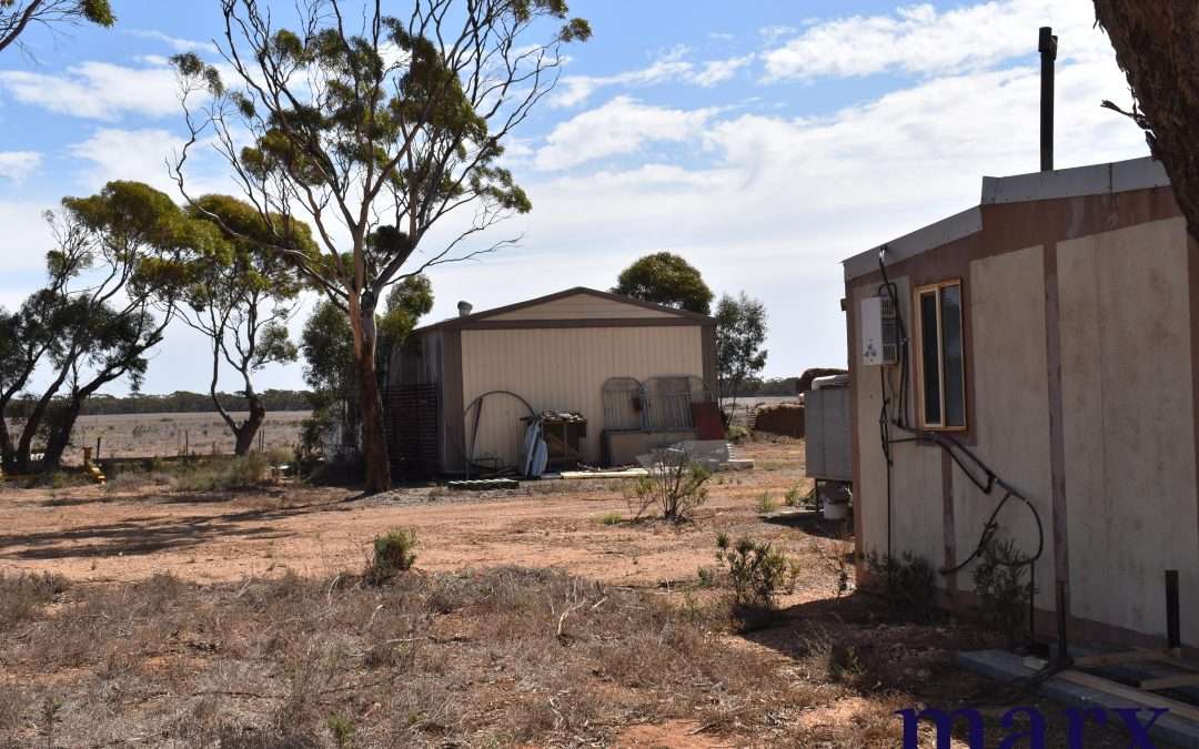 Lot 251 Liebigs Road, STEINFELD, SA 5356 AUS