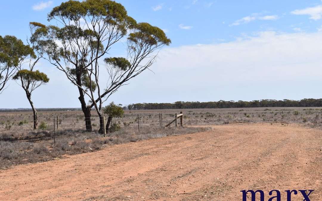 Lot 251 Liebigs Road, STEINFELD, SA 5356 AUS