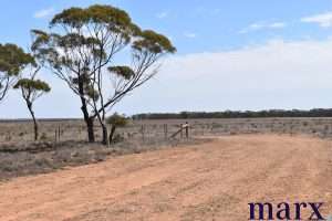 Lot 251 Liebigs Road, STEINFELD, SA 5356 AUS
