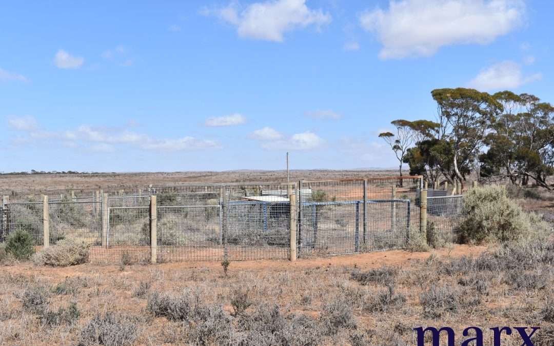 Lot 251 Liebigs Road, STEINFELD, SA 5356 AUS