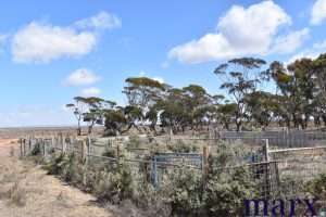 Lot 251 Liebigs Road, STEINFELD, SA 5356 AUS