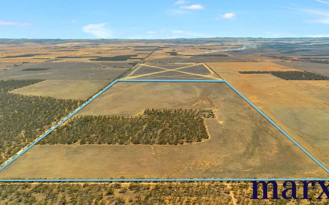 Lot 251 Liebigs Road, STEINFELD, SA 5356 AUS