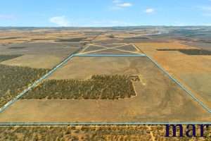 Lot 251 Liebigs Road, STEINFELD, SA 5356 AUS