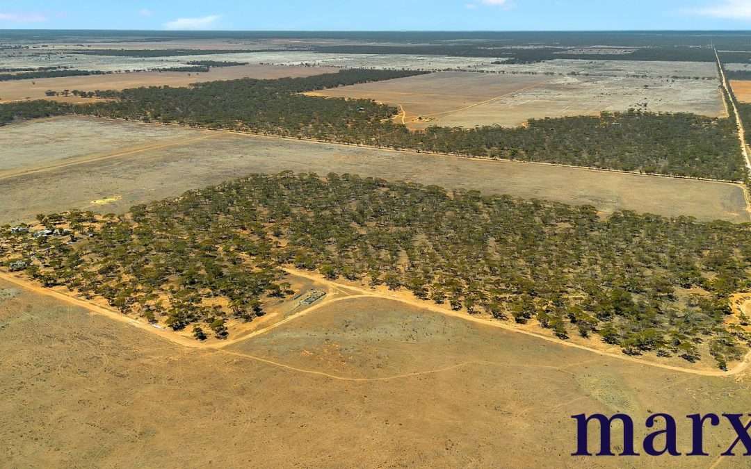Lot 251 Liebigs Road, STEINFELD, SA 5356 AUS