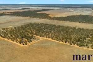 Lot 251 Liebigs Road, STEINFELD, SA 5356 AUS
