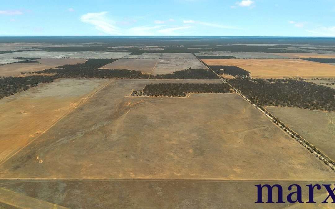 Lot 251 Liebigs Road, STEINFELD, SA 5356 AUS