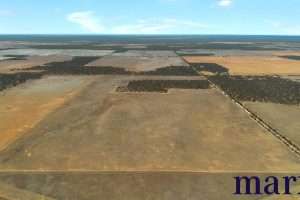 Lot 251 Liebigs Road, STEINFELD, SA 5356 AUS