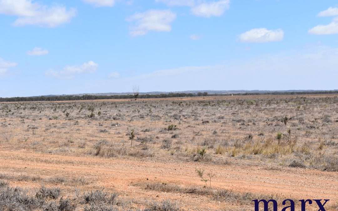 Lot 251 Liebigs Road, STEINFELD, SA 5356 AUS