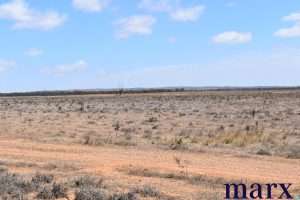 Lot 251 Liebigs Road, STEINFELD, SA 5356 AUS
