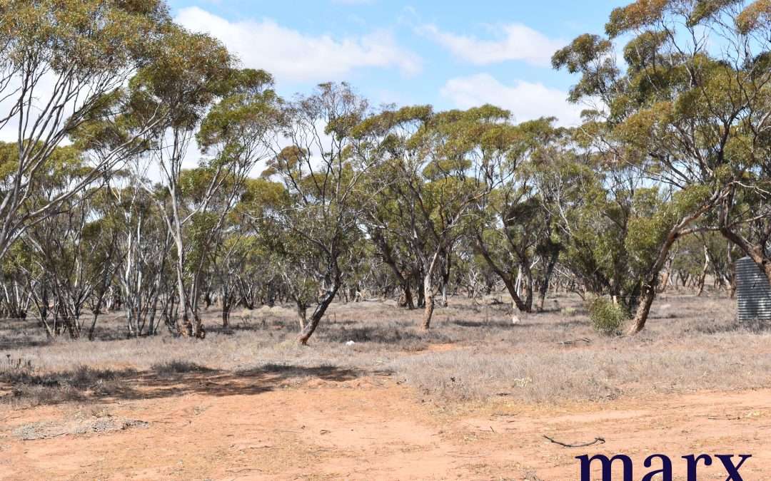 Lot 251 Liebigs Road, STEINFELD, SA 5356 AUS