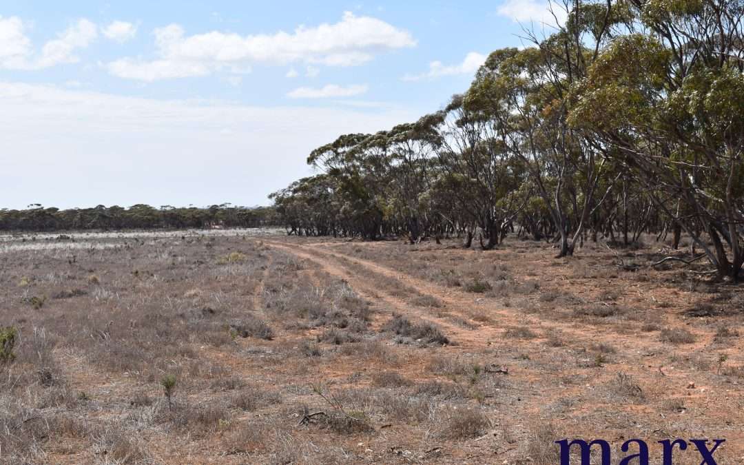 Lot 251 Liebigs Road, STEINFELD, SA 5356 AUS