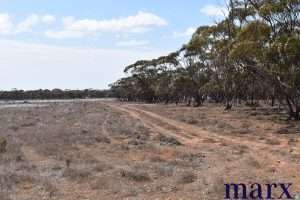 Lot 251 Liebigs Road, STEINFELD, SA 5356 AUS