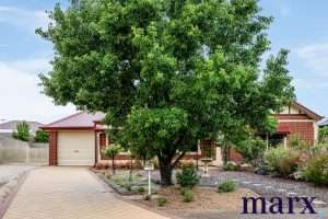 12 Paradale Drive, TANUNDA, SA 5352 AUS