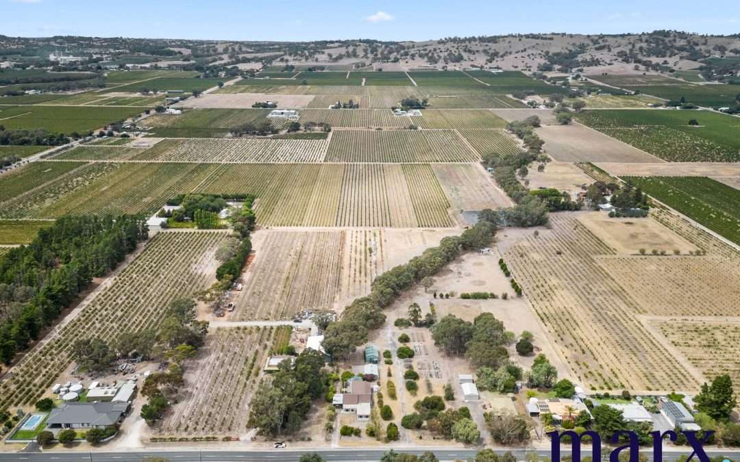 224 Research Road, TANUNDA, SA 5352 AUS