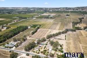 224 Research Road, TANUNDA, SA 5352 AUS