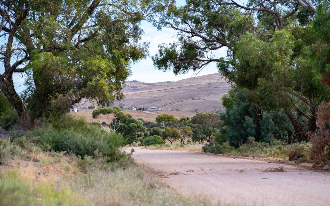 Section 450 Three Chain Road, CAMBRAI, SA 5353 AUS