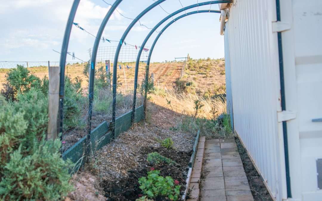 Section 450 Three Chain Road, CAMBRAI, SA 5353 AUS