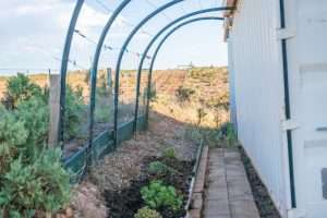 Section 450 Three Chain Road, CAMBRAI, SA 5353 AUS