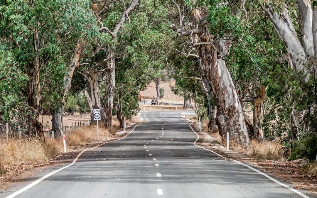 202 Craneford Road, FLAXMAN VALLEY, SA 5235 AUS