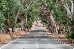 202 Craneford Road, FLAXMAN VALLEY, SA 5235 AUS