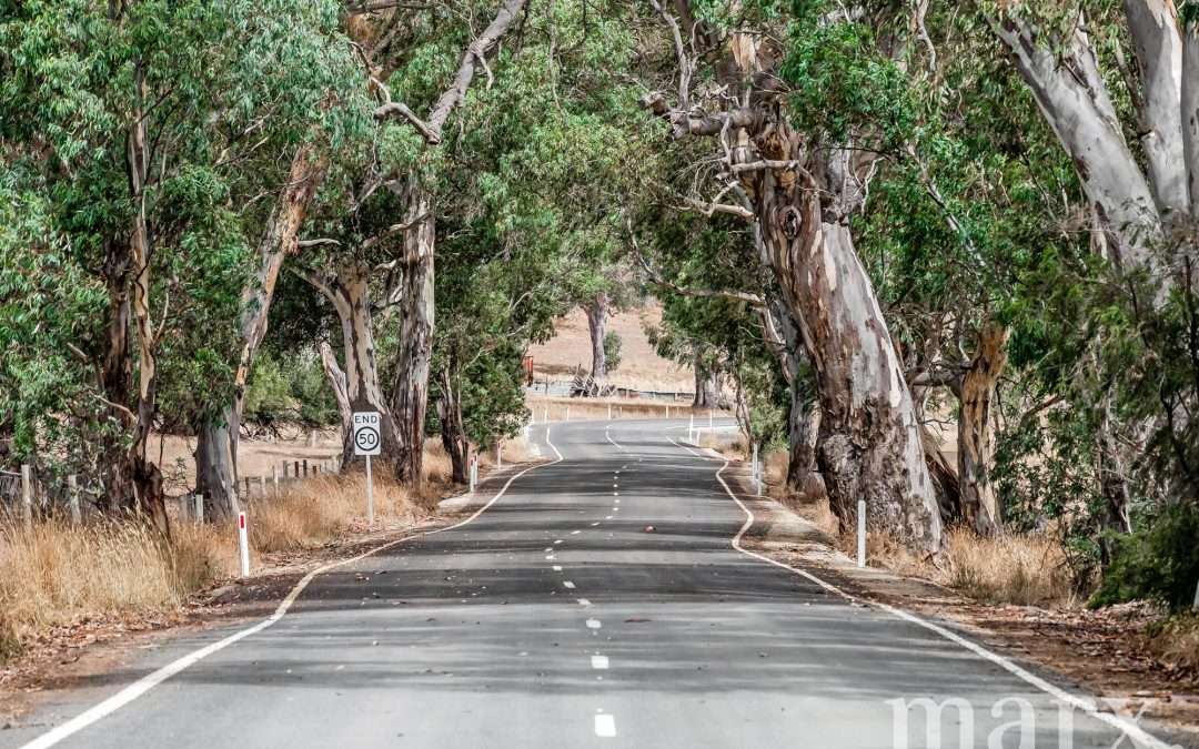 202 Craneford Road, FLAXMAN VALLEY, SA 5235 AUS