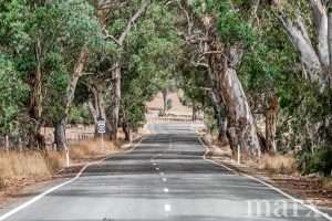 202 Craneford Road, FLAXMAN VALLEY, SA 5235 AUS