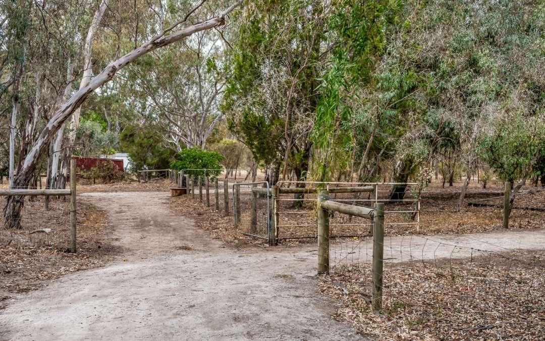 1744 Barossa Valley Way, ROWLAND FLAT, SA 5352 AUS