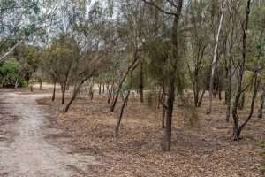 1744 Barossa Valley Way, ROWLAND FLAT, SA 5352 AUS