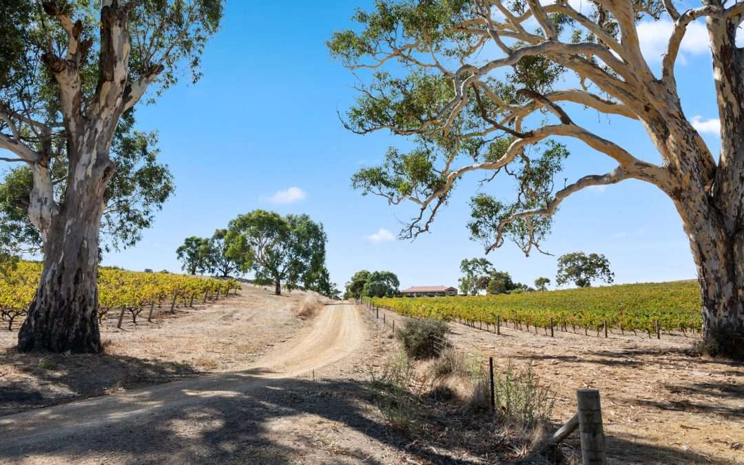 133 Rhine Park Road, EDEN VALLEY, SA 5235 AUS