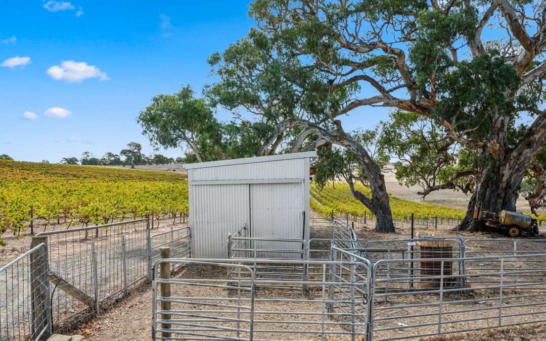 133 Rhine Park Road, EDEN VALLEY, SA 5235 AUS