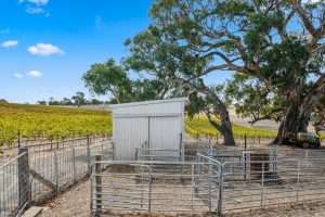 133 Rhine Park Road, EDEN VALLEY, SA 5235 AUS