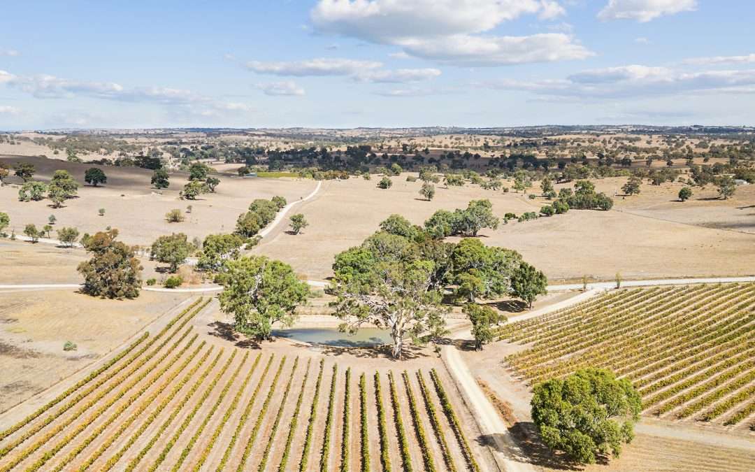 133 Rhine Park Road, EDEN VALLEY, SA 5235 AUS