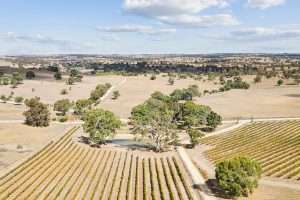 133 Rhine Park Road, EDEN VALLEY, SA 5235 AUS