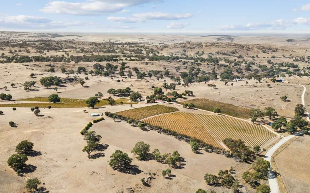 133 Rhine Park Road, EDEN VALLEY, SA 5235 AUS