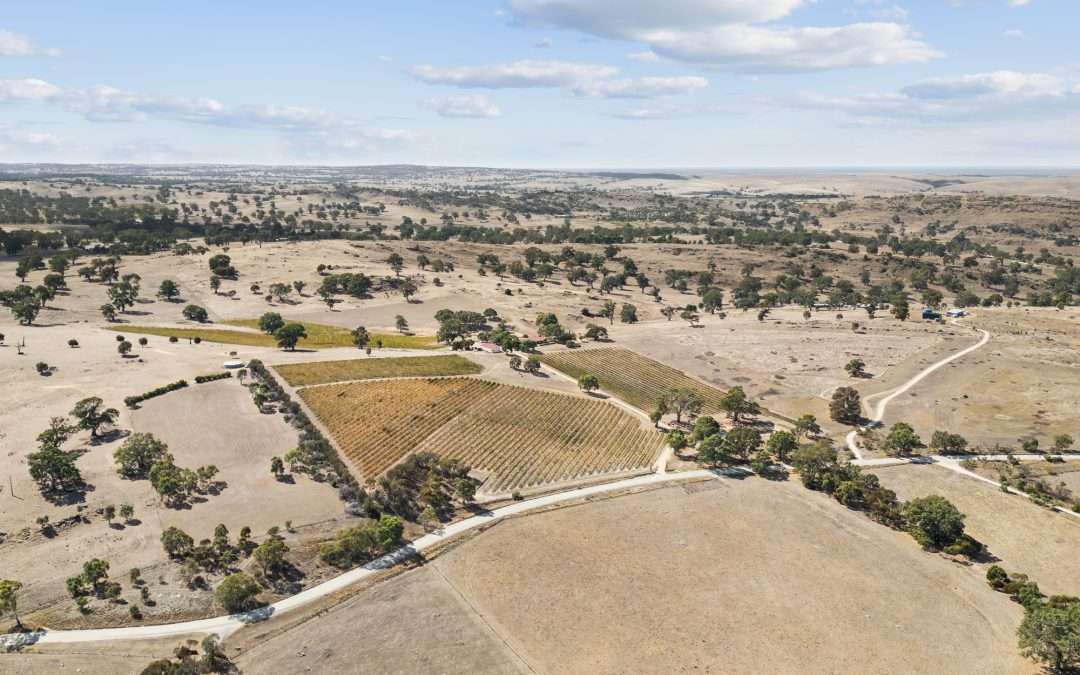 133 Rhine Park Road, EDEN VALLEY, SA 5235 AUS