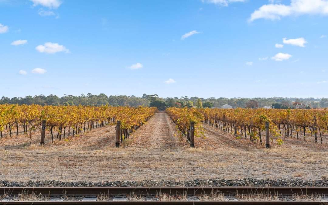 5 Diagonal Road, TANUNDA, SA 5352 AUS