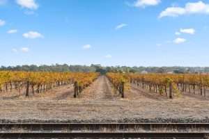 5 Diagonal Road, TANUNDA, SA 5352 AUS