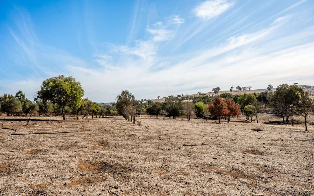 LEASINGHAM, SA 5452 AUS