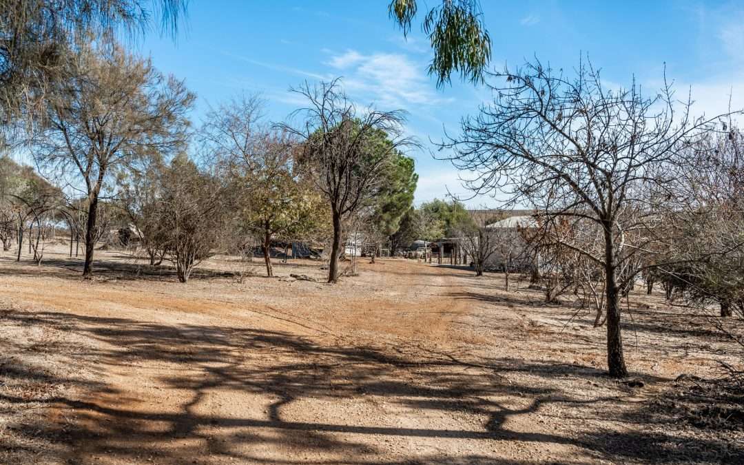 LEASINGHAM, SA 5452 AUS