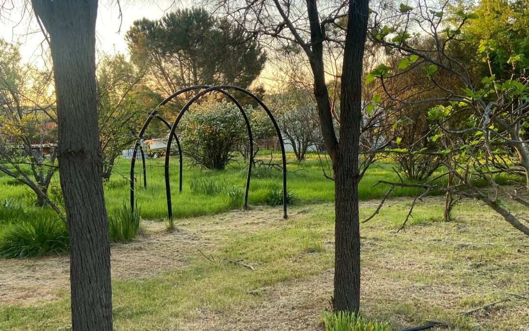 LEASINGHAM, SA 5452 AUS