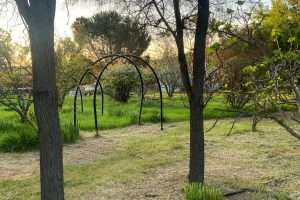 LEASINGHAM, SA 5452 AUS