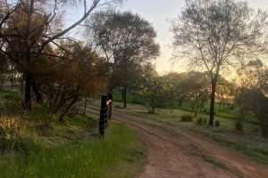 LEASINGHAM, SA 5452 AUS