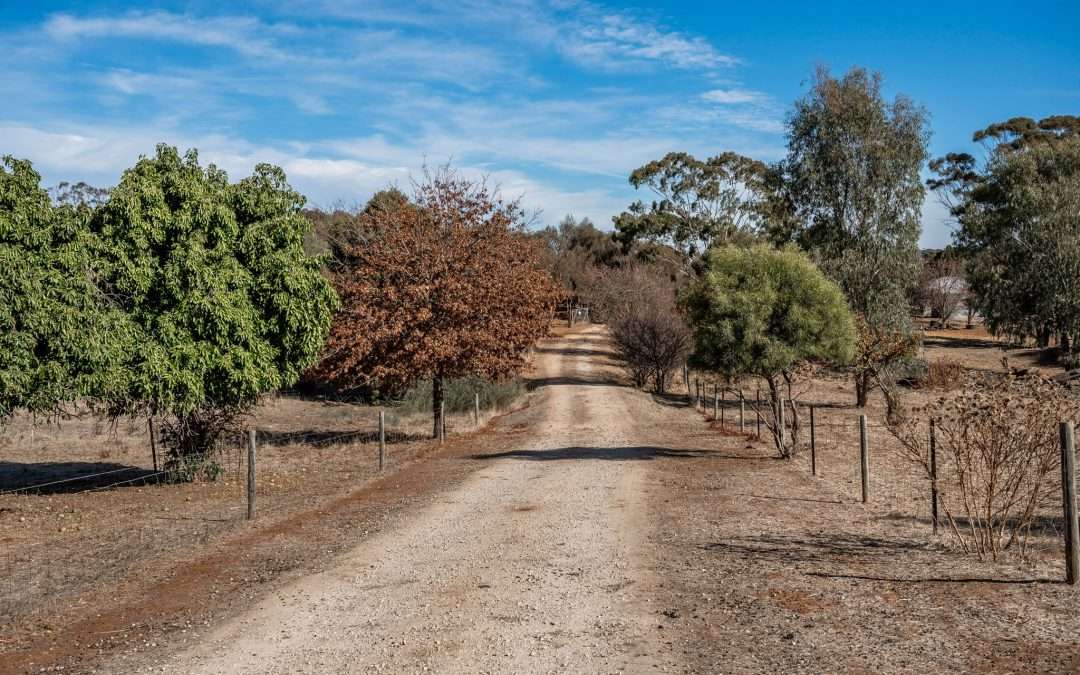 LEASINGHAM, SA 5452 AUS