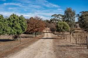 LEASINGHAM, SA 5452 AUS
