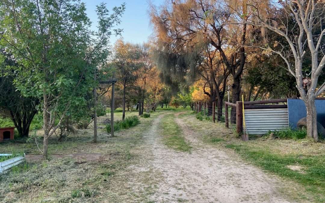 LEASINGHAM, SA 5452 AUS